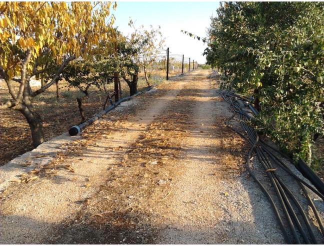 Anteprima foto 8 - Rustico/Casale in Vendita a Polignano a Mare - Chiesa Nuova