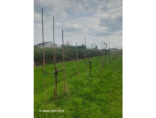 Anteprima foto 4 - Rustico/Casale in Vendita a Ponte Buggianese (Pistoia)