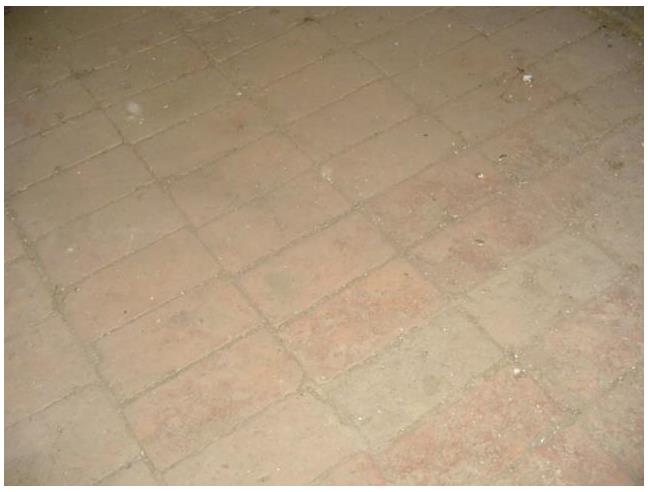 Anteprima foto 3 - Rustico/Casale in Vendita a Portomaggiore (Ferrara)