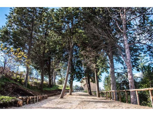 Anteprima foto 6 - Rustico/Casale in Vendita a Postiglione - Canneto