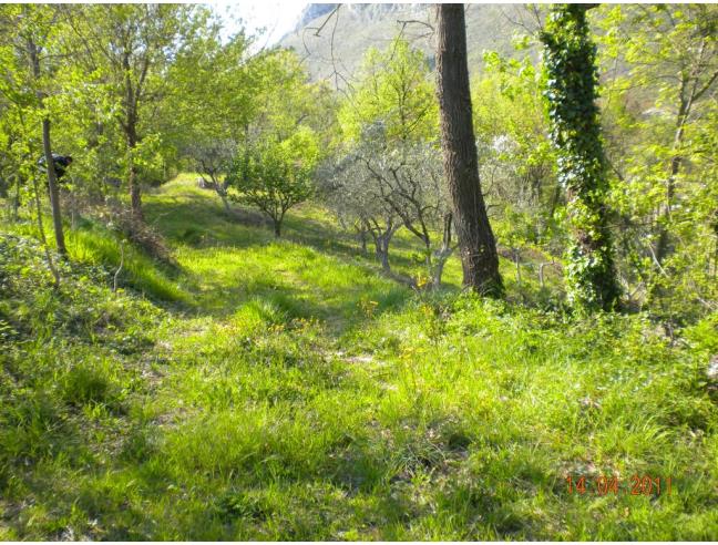 Anteprima foto 4 - Rustico/Casale in Vendita a Pratella - Mastrati
