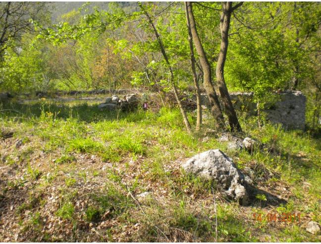 Anteprima foto 5 - Rustico/Casale in Vendita a Pratella - Mastrati