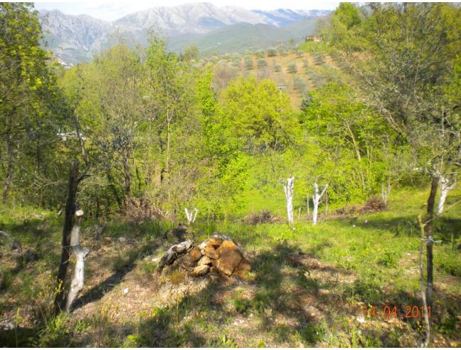 Anteprima foto 6 - Rustico/Casale in Vendita a Pratella - Mastrati