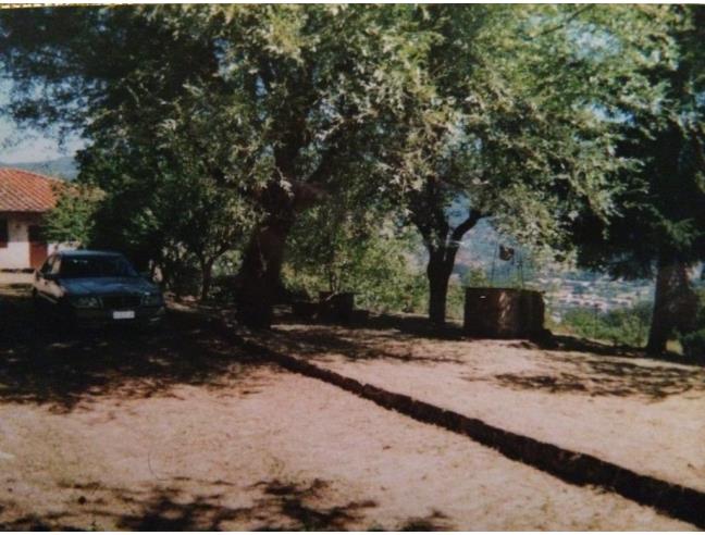 Anteprima foto 3 - Rustico/Casale in Vendita a Pratovecchio Stia (Arezzo)