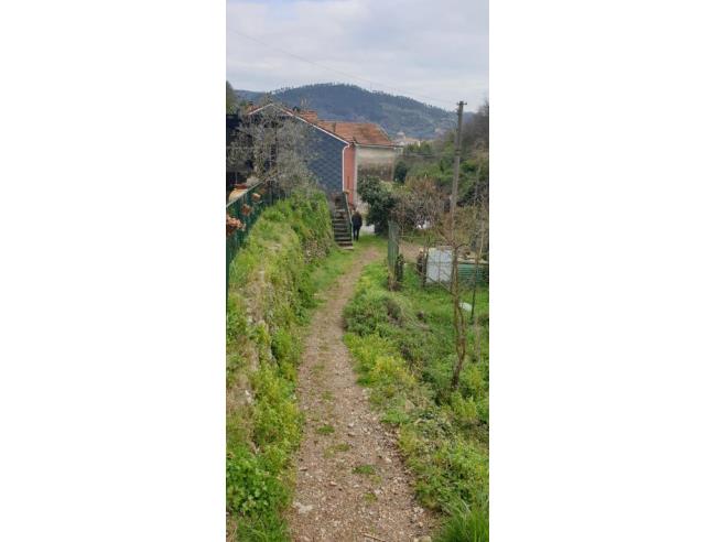 Anteprima foto 5 - Rustico/Casale in Vendita a Quiliano (Savona)