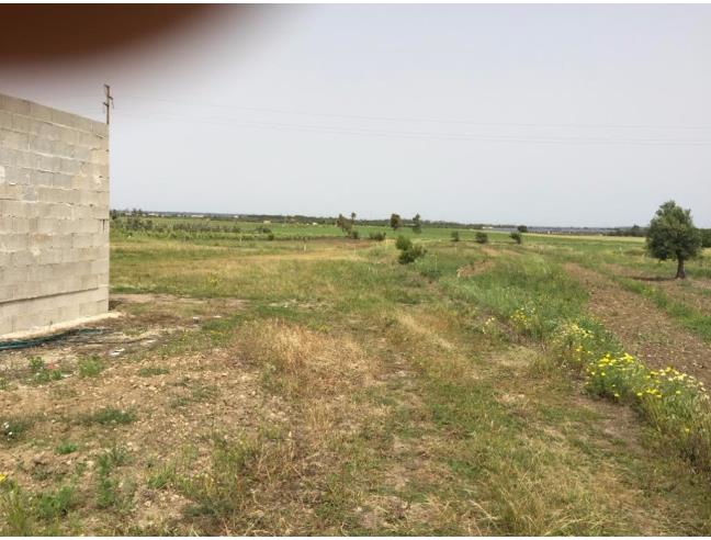 Anteprima foto 3 - Rustico/Casale in Vendita a Racale (Lecce)