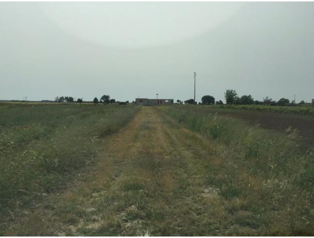 Anteprima foto 4 - Rustico/Casale in Vendita a Racale (Lecce)