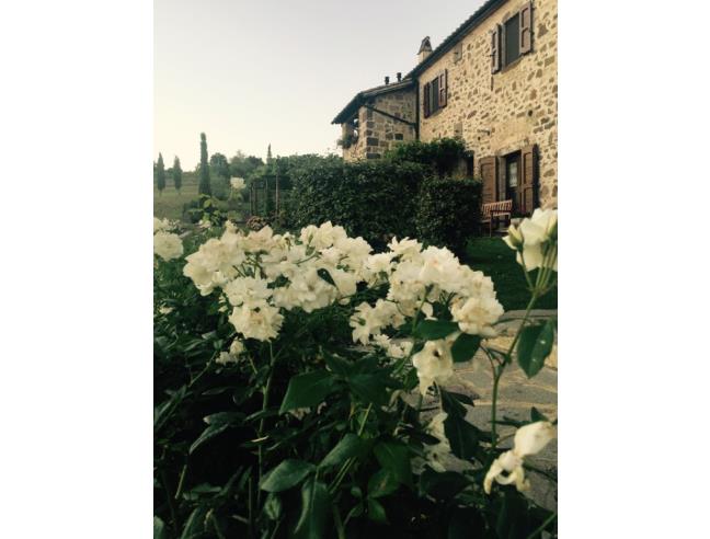 Anteprima foto 1 - Rustico/Casale in Vendita a Radicofani (Siena)