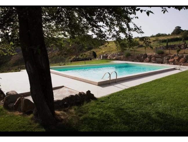 Anteprima foto 4 - Rustico/Casale in Vendita a Radicofani (Siena)