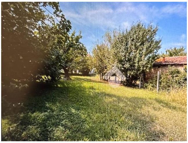 Anteprima foto 4 - Rustico/Casale in Vendita a Ravenna - Ammonite