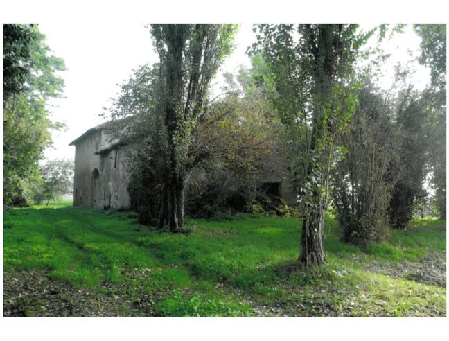 Anteprima foto 5 - Rustico/Casale in Vendita a Reggio Emilia - Castellazzo