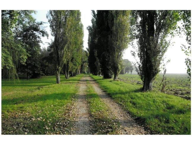 Anteprima foto 6 - Rustico/Casale in Vendita a Reggio Emilia - Castellazzo