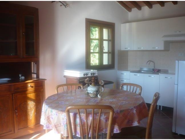 Anteprima foto 2 - Rustico/Casale in Vendita a Riparbella (Pisa)