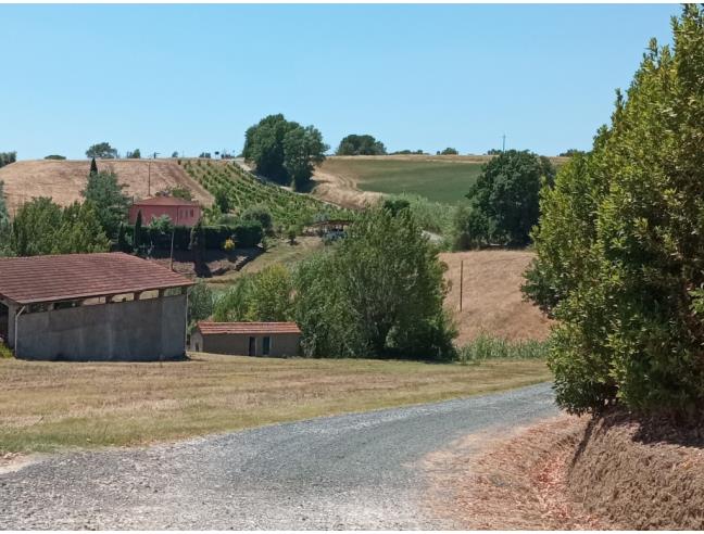 Anteprima foto 4 - Rustico/Casale in Vendita a Riparbella (Pisa)
