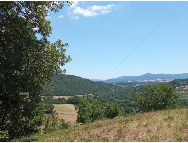 Anteprima foto 6 - Rustico/Casale in Vendita a Riparbella (Pisa)