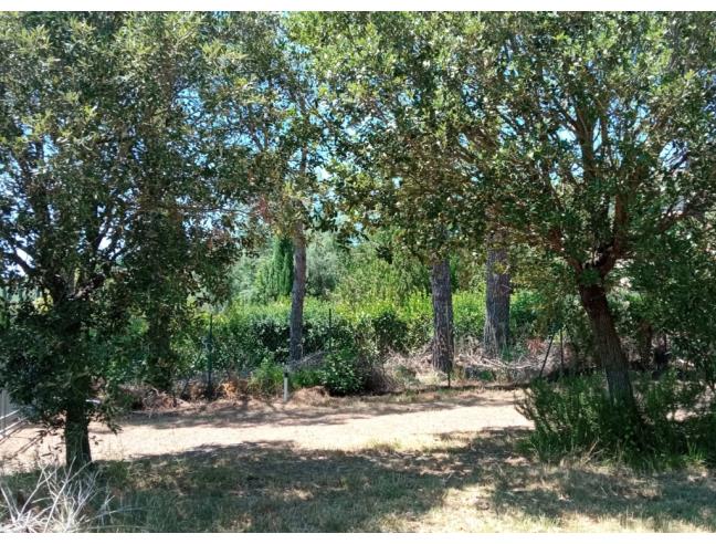 Anteprima foto 7 - Rustico/Casale in Vendita a Riparbella (Pisa)