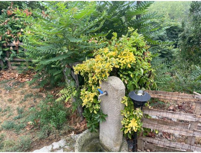 Anteprima foto 4 - Rustico/Casale in Vendita a Rocca d'Arazzo - Santa Caterina