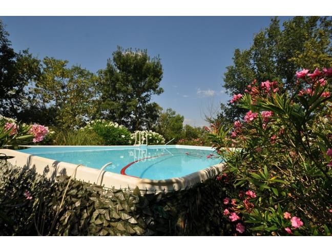 Anteprima foto 5 - Rustico/Casale in Vendita a Roccastrada - Ribolla