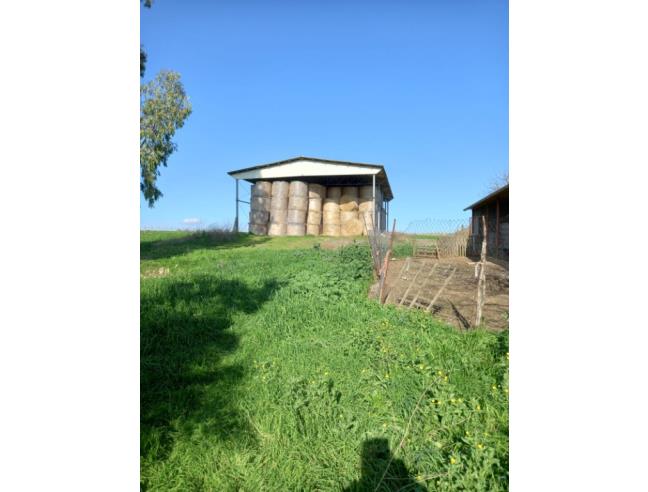 Anteprima foto 4 - Rustico/Casale in Vendita a Roma - Cesano di Roma