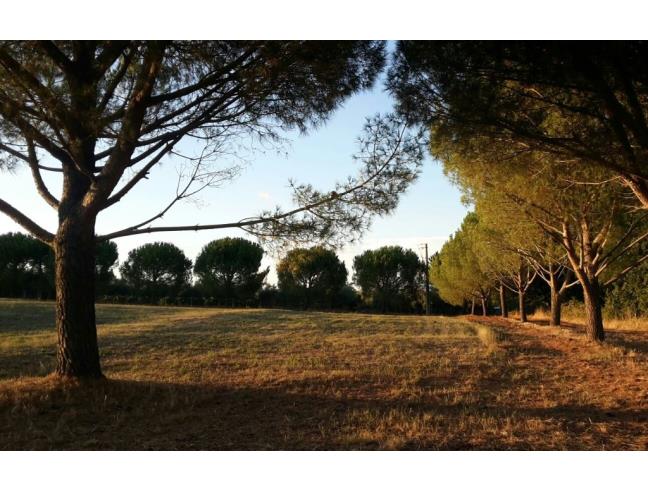 Anteprima foto 2 - Rustico/Casale in Vendita a Roma - Falcognana