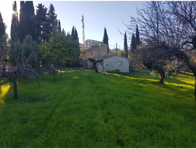 Anteprima foto 3 - Rustico/Casale in Vendita a Roseto degli Abruzzi - Cologna Paese