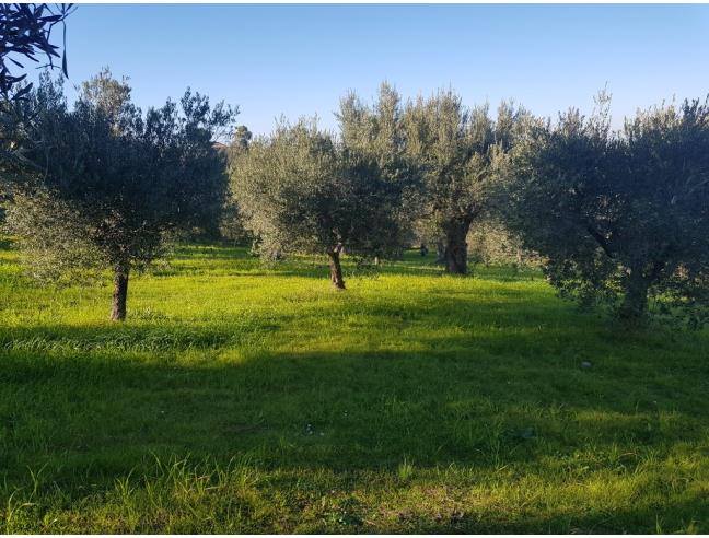 Anteprima foto 4 - Rustico/Casale in Vendita a Roseto degli Abruzzi - Cologna Paese