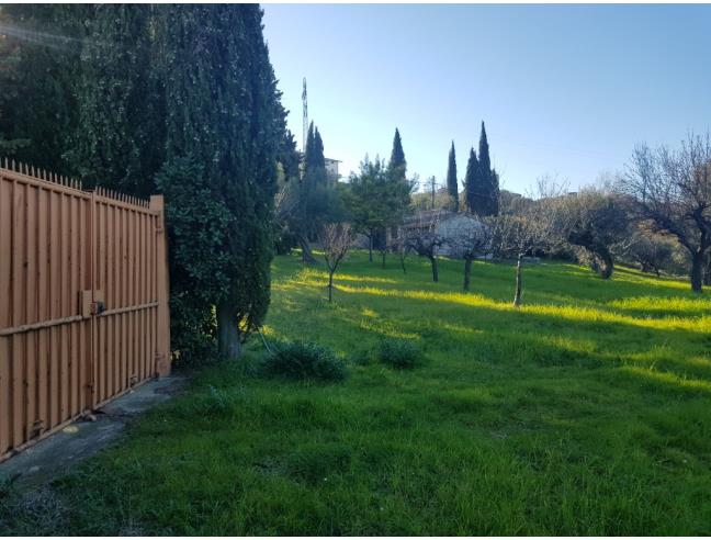 Anteprima foto 6 - Rustico/Casale in Vendita a Roseto degli Abruzzi - Cologna Paese
