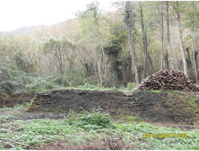 Anteprima foto 2 - Rustico/Casale in Vendita a San Colombano Certenoli - Calvari
