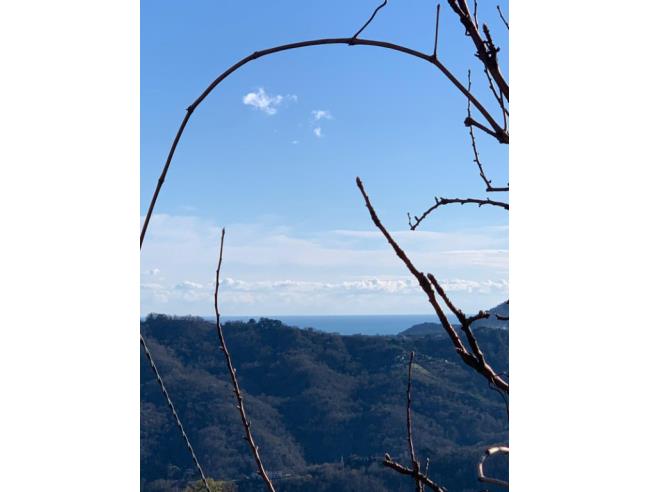 Anteprima foto 6 - Rustico/Casale in Vendita a San Colombano Certenoli (Genova)