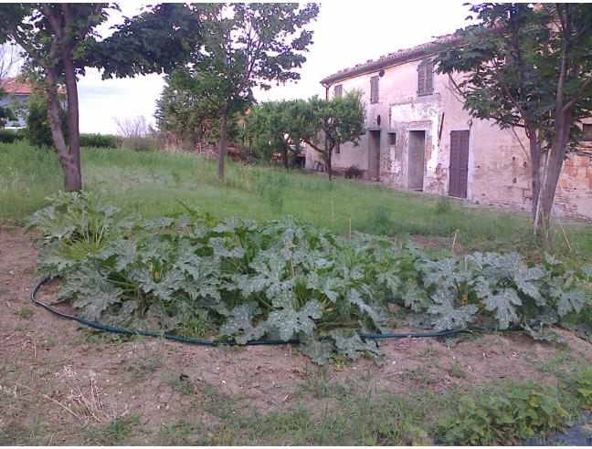 Anteprima foto 5 - Rustico/Casale in Vendita a San Costanzo (Pesaro e Urbino)