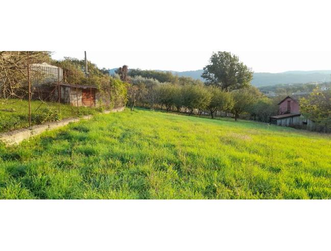 Anteprima foto 6 - Rustico/Casale in Vendita a San Gregorio Magno (Salerno)