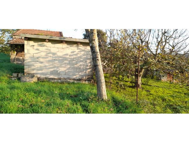 Anteprima foto 8 - Rustico/Casale in Vendita a San Gregorio Magno (Salerno)