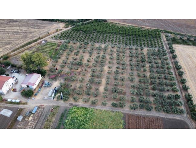 Anteprima foto 2 - Rustico/Casale in Vendita a San Martino in Pensilis (Campobasso)