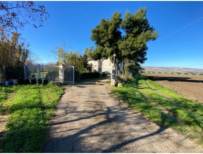 Anteprima foto 4 - Rustico/Casale in Vendita a San Martino in Pensilis (Campobasso)