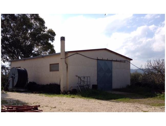 Anteprima foto 5 - Rustico/Casale in Vendita a San Martino in Pensilis (Campobasso)