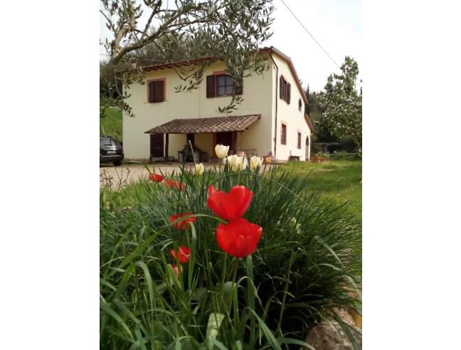 Anteprima foto 8 - Rustico/Casale in Vendita a San Miniato - San Miniato Basso