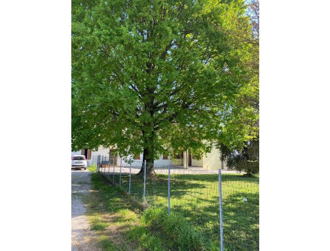 Anteprima foto 5 - Rustico/Casale in Vendita a Santa Caterina d'Este (Padova)