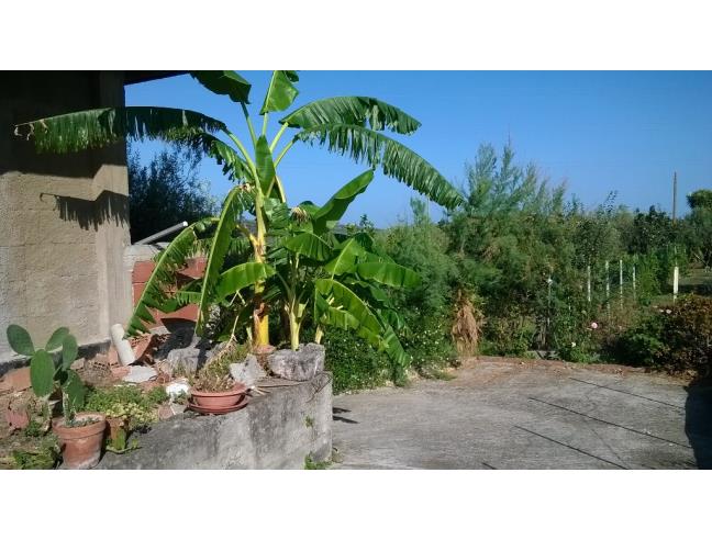 Anteprima foto 6 - Rustico/Casale in Vendita a Santa Lucia del Mela (Messina)