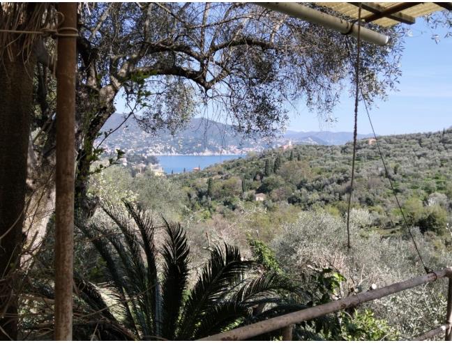 Anteprima foto 3 - Rustico/Casale in Vendita a Santa Margherita Ligure (Genova)