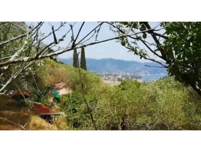 Anteprima foto 6 - Rustico/Casale in Vendita a Santa Margherita Ligure (Genova)