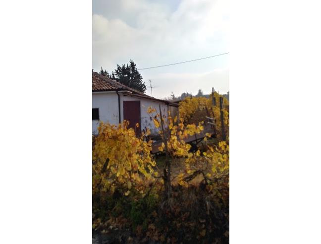 Anteprima foto 4 - Rustico/Casale in Vendita a Santo Stefano Belbo (Cuneo)