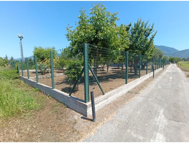 Anteprima foto 2 - Rustico/Casale in Vendita a Sarno - Lavorate