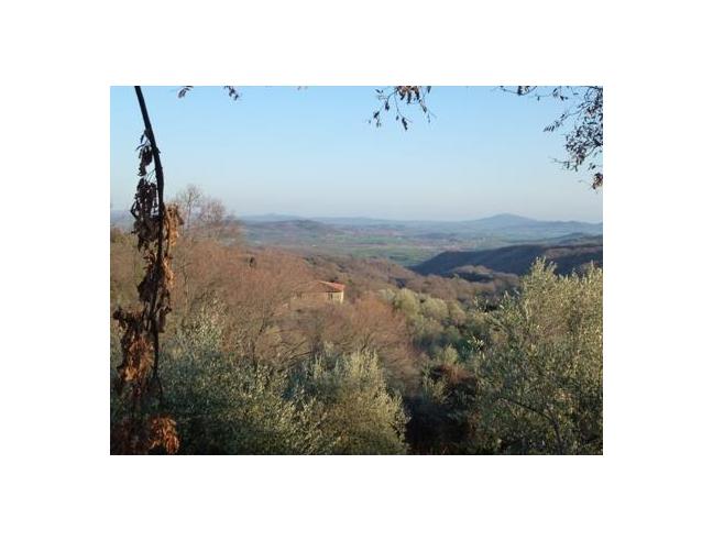 Anteprima foto 2 - Rustico/Casale in Vendita a Scansano (Grosseto)