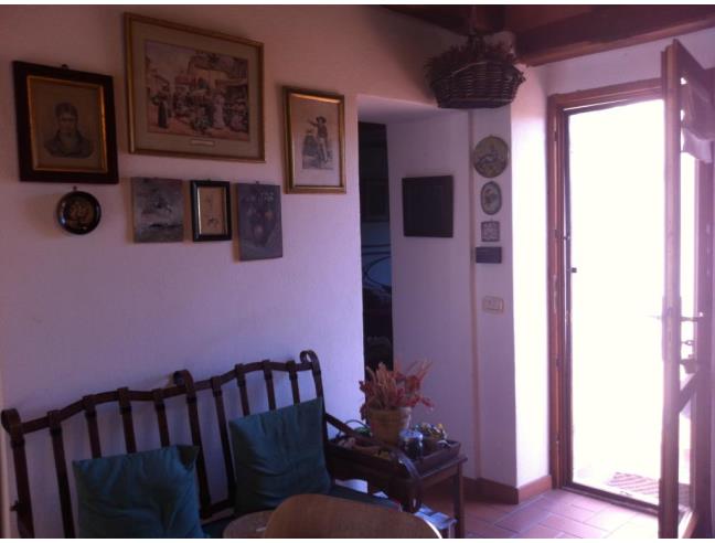 Anteprima foto 3 - Rustico/Casale in Vendita a Scansano (Grosseto)