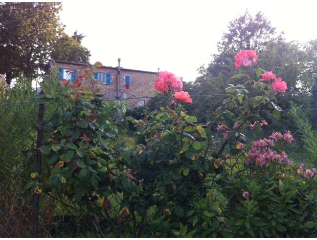 Anteprima foto 1 - Rustico/Casale in Vendita a Scansano - Murci