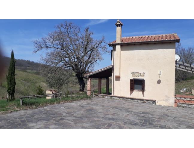 Anteprima foto 3 - Rustico/Casale in Vendita a Scansano - Poggioferro