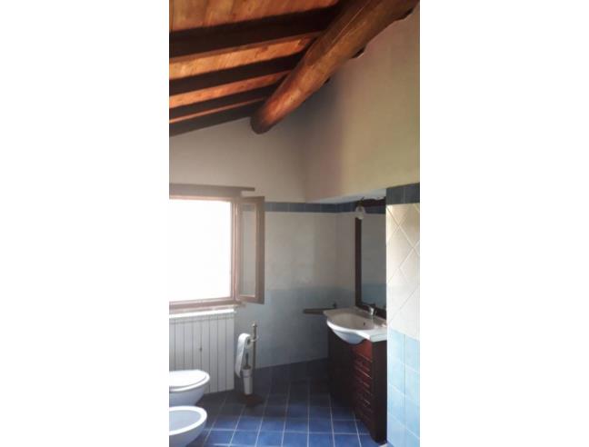 Anteprima foto 8 - Rustico/Casale in Vendita a Scansano - Poggioferro