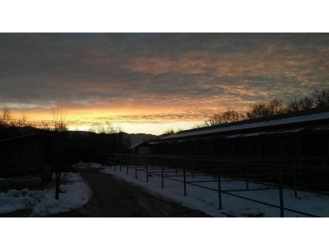 Anteprima foto 1 - Rustico/Casale in Vendita a Sedico - Bribano