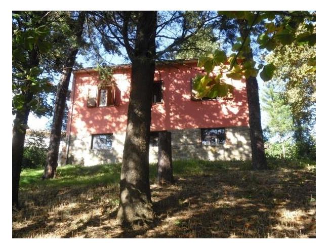 Anteprima foto 2 - Rustico/Casale in Vendita a Sestino - Ponte Presale