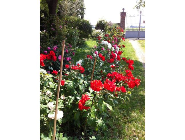 Anteprima foto 2 - Rustico/Casale in Vendita a Soliera - Sozzigalli